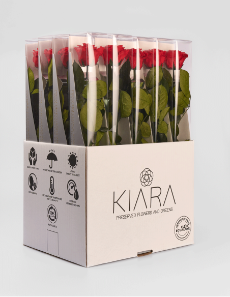 Rose Stabilisée Kiara avec Tige 50 cm