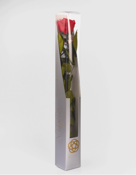 Rose Stabilisée Kiara avec Tige 50 cm