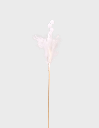 Pique Plumes