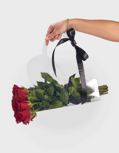 Sac en PVC Transparent Nº3 (10 Unités)