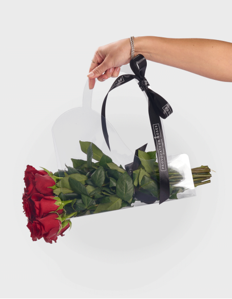 Sac en PVC Transparent Nº3 (10 Unités)