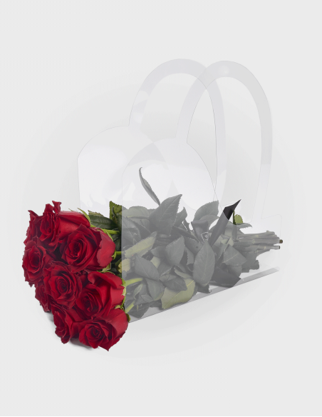Sac en PVC Transparent Nº3 (10 Unités)
