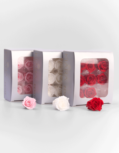 Petites têtes de roses stabilisées ou éternelles. (9 Unités)
