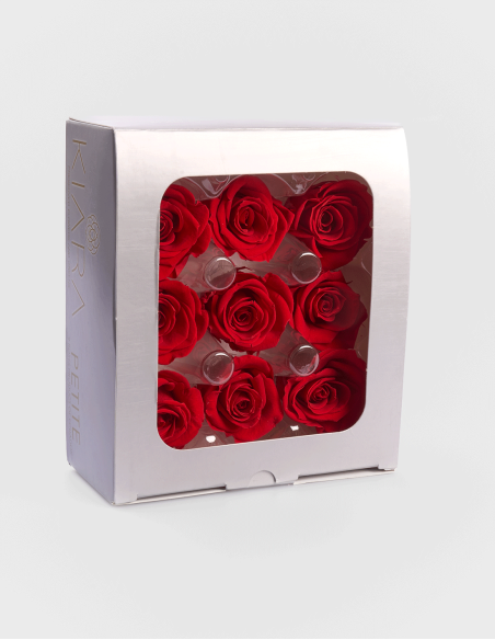 Petites têtes de roses stabilisées ou éternelles. (9 Unités)