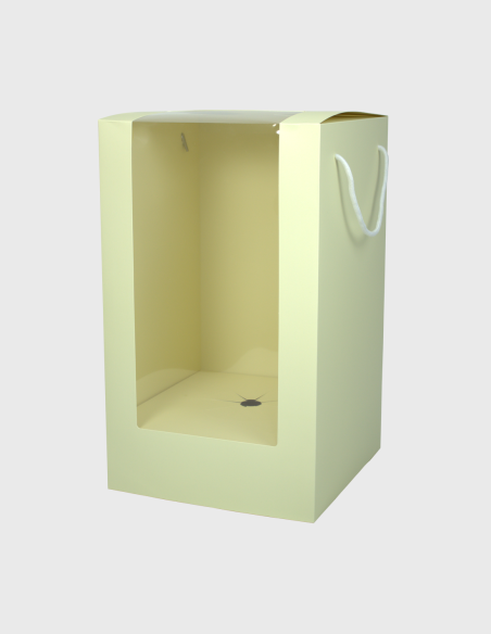 Boîte pour Bouquet Pvc - Carton Beige