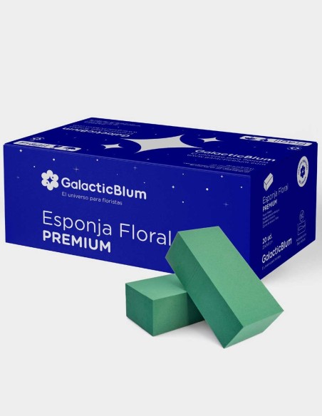 Mousse pour Fleurs Naturelles - GalacticBlum Premium (20 unds.)