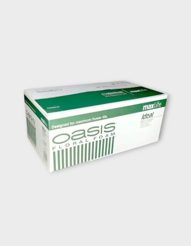 Mousse Oasis