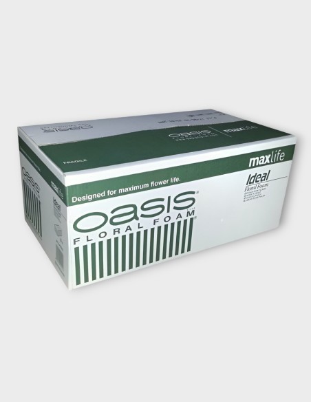 Mousse Oasis