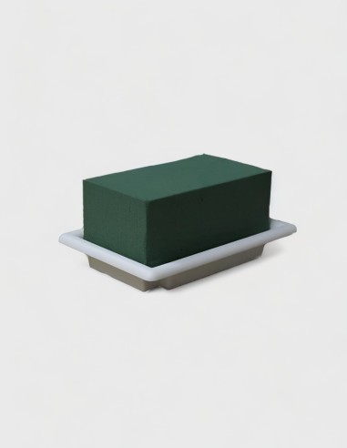 plateau avec Mousse