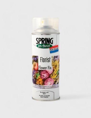 SPRAY DE LAQUE MAT FLOWER FIX