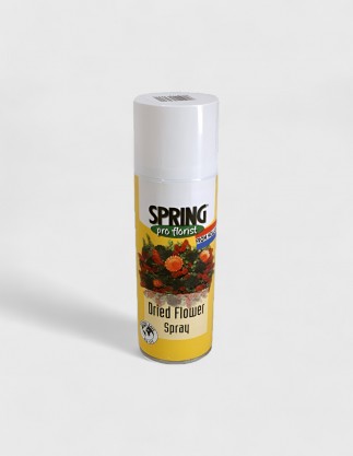 Lustrant pour Fleur Séchées Spring, 300 ml