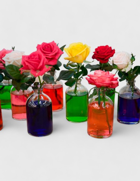 Colorant liquide 150 ml.