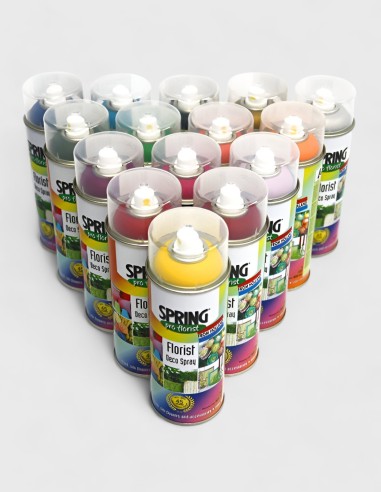 Flacon de peinture en aérosol colorée pour fleur naturelle SPRING.
