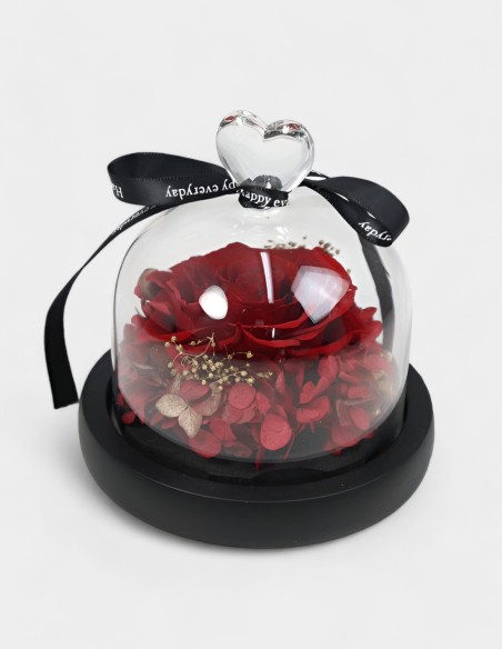 Dôme Rose Rouge avec Lumière