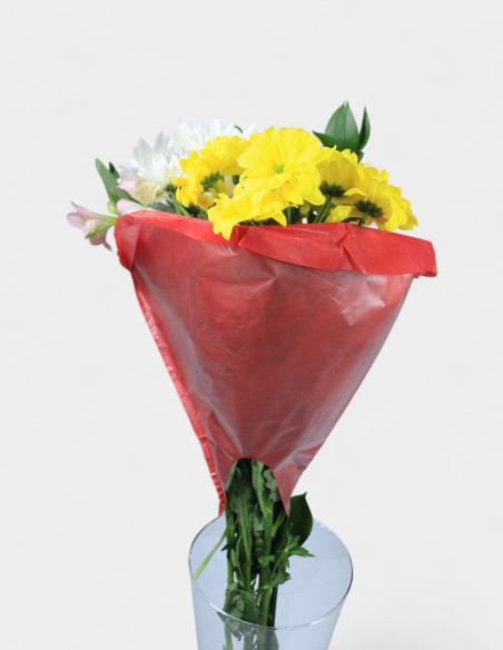 Housse pour Bouquet Peta