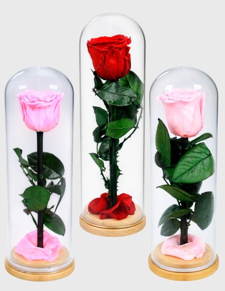 Dôme en Verre avec Rose Eternel