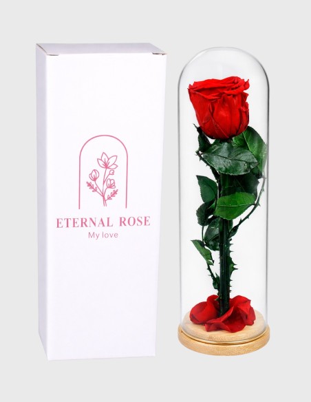 Dôme en Verre avec Rose Eternel