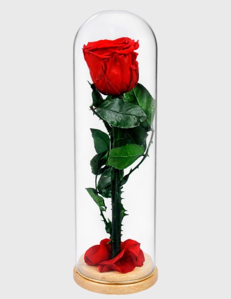 Dôme en Verre avec Rose Eternel