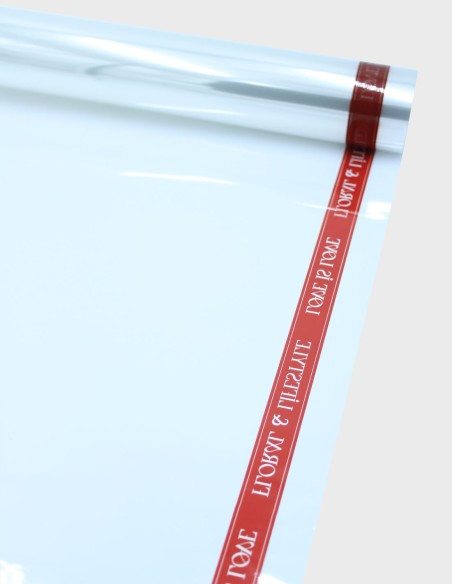 Cellophane Transparente Love is Love