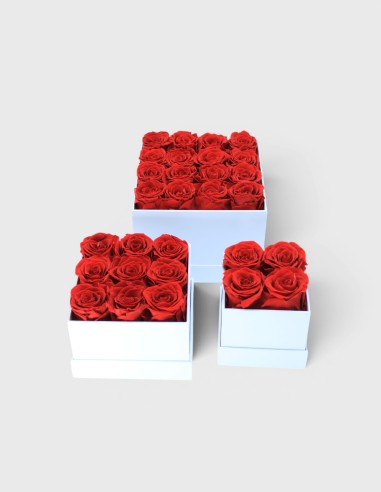 Boîte Carrée Blanche avec Roses Eternelles