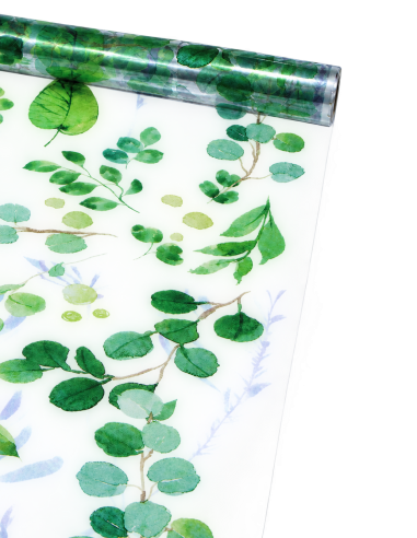 Cellophane transparente à motif eucalyptus
