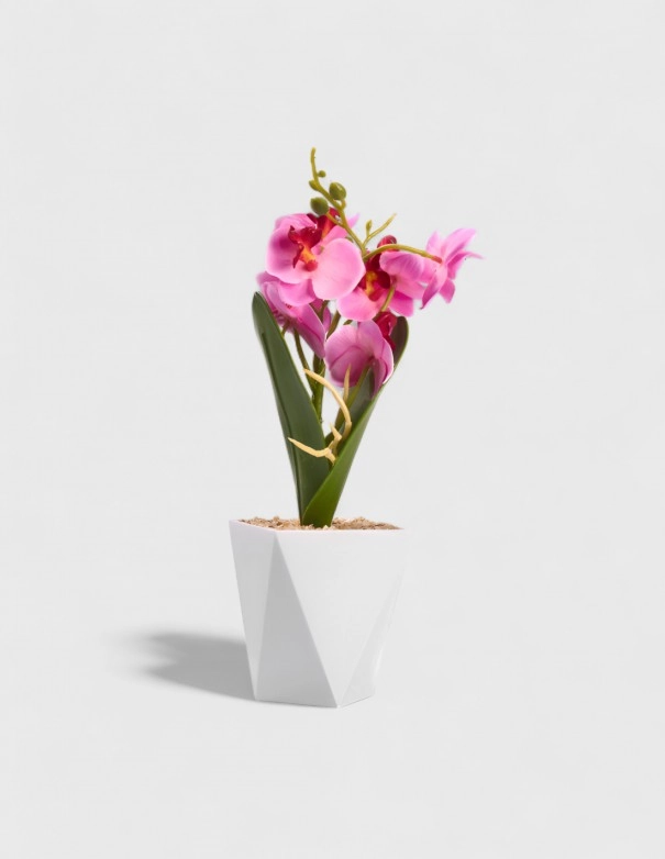 Pot d'orchidée (Artificielle)